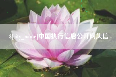 吉安中国执行信息公开网失信