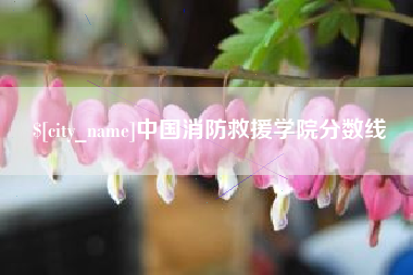 吉安中国消防救援学院分数线