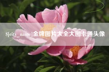 吉安金牌图片大全大图卡通头像