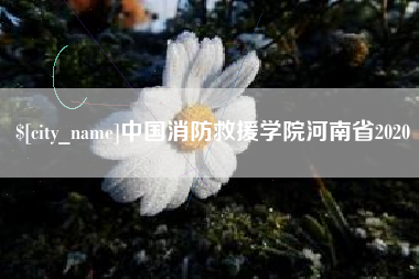 吉安中国消防救援学院河南省2020
